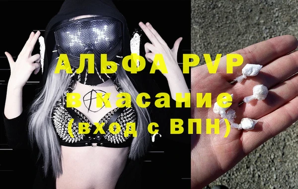 тгк Володарск