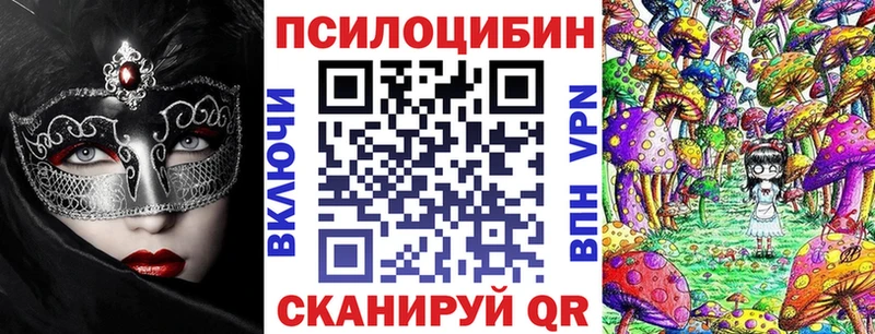 дарнет шоп  Ефремов  Галлюциногенные грибы мухоморы 